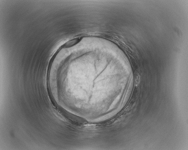 X0000114530052200911161345