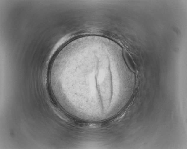 X0000114530056200911161345