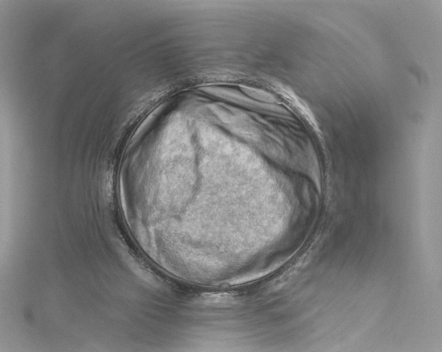 X0000114530057200911161345