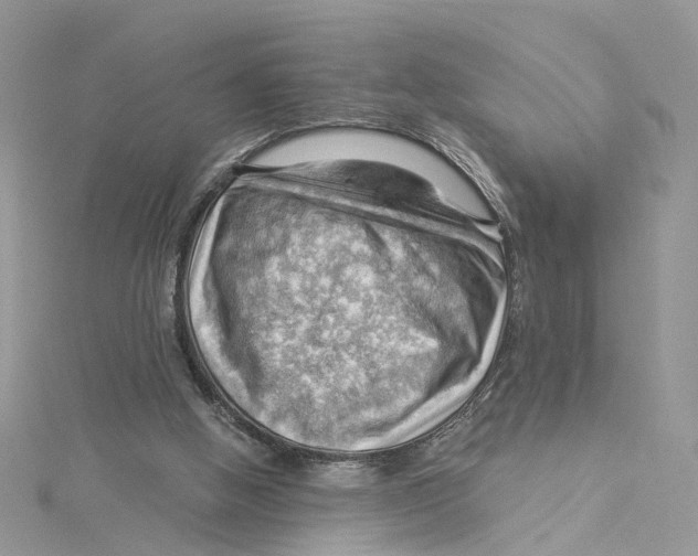 X0000114530058200911161345