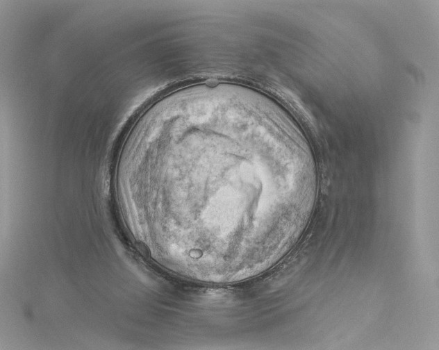 X0000114530060200911161345