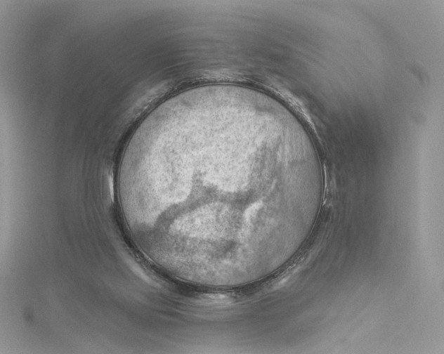 X0000114530061200911161345