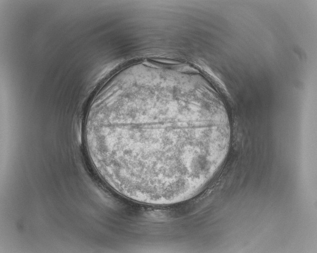 X0000114530062200911161345