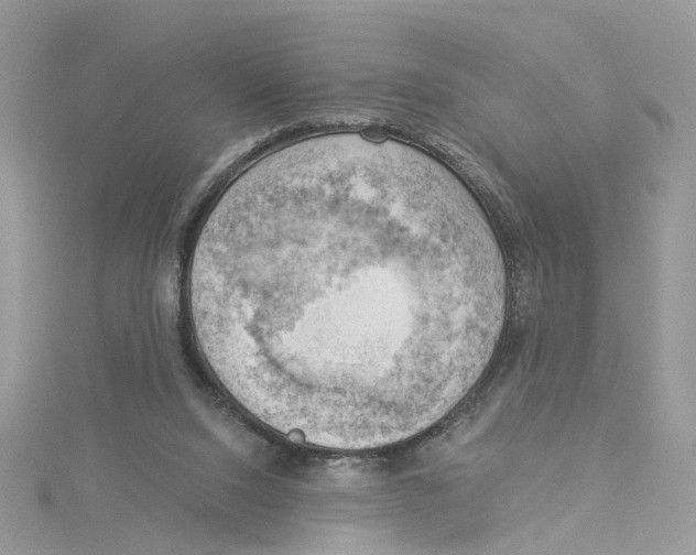 X0000114530064200911161345