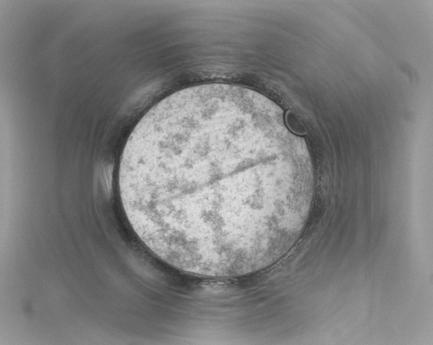 X0000114530070200911161345