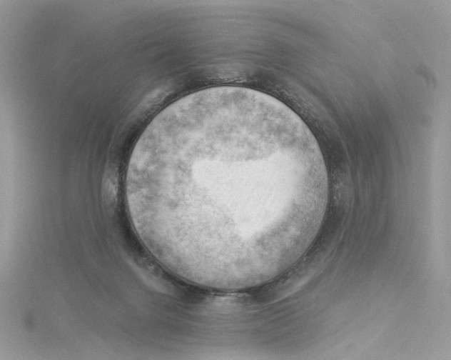 X0000114530072200911161345