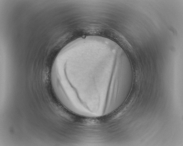 X0000114530073200911161345