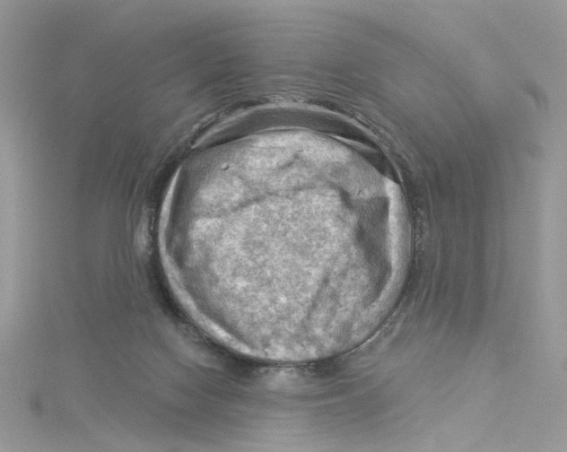 X0000114530074200911161345