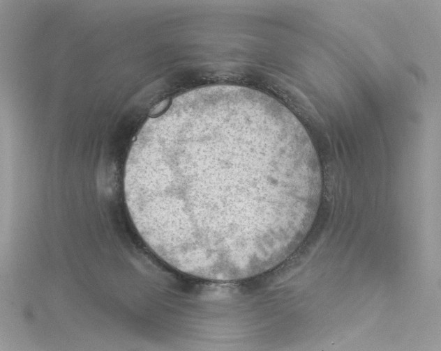 X0000114530077200911161345