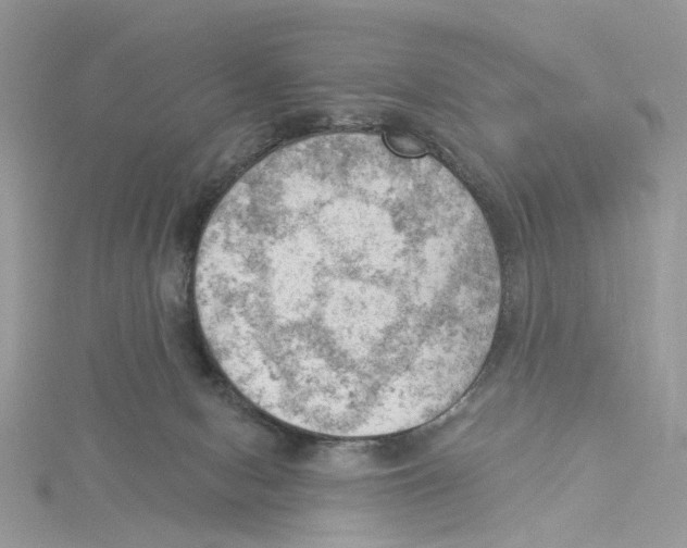 X0000114530078200911161345