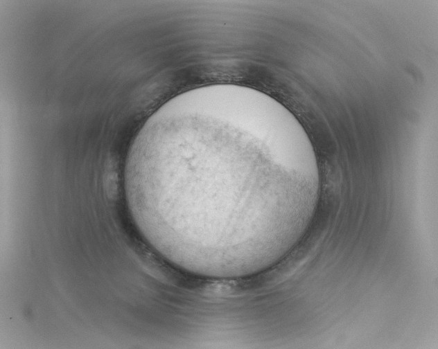 X0000114530080200911161345