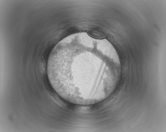 X0000114530081200911161345