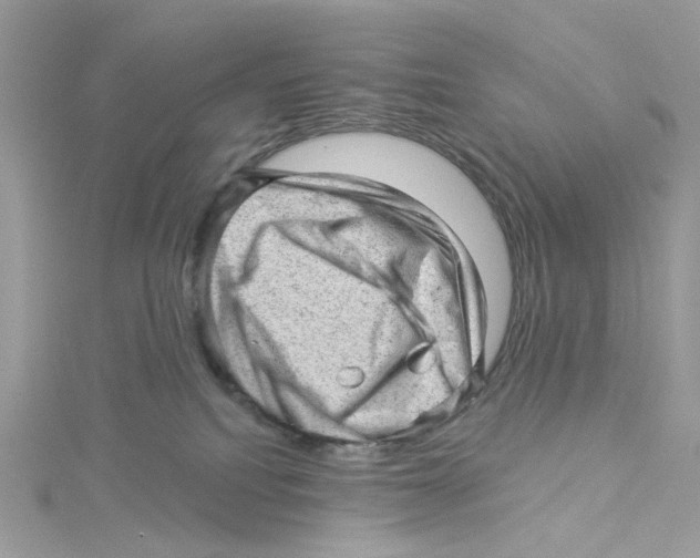 X0000114530088200911161345