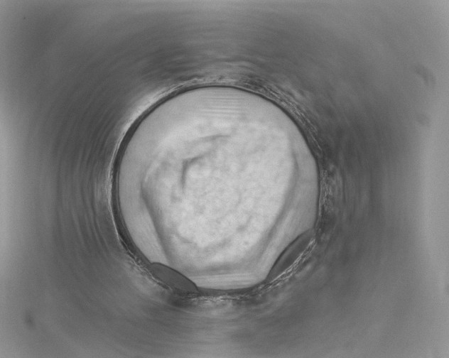 X0000114530100200911161344