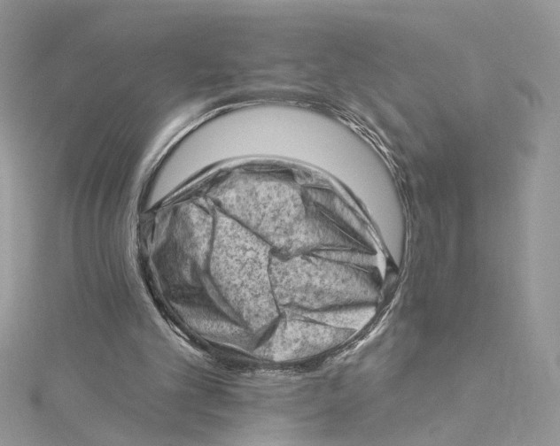 X0000114530101200911161344