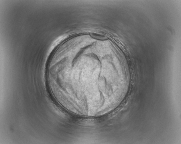 X0000114530104200911161344