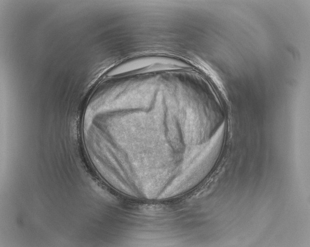 X0000114530105200911161344