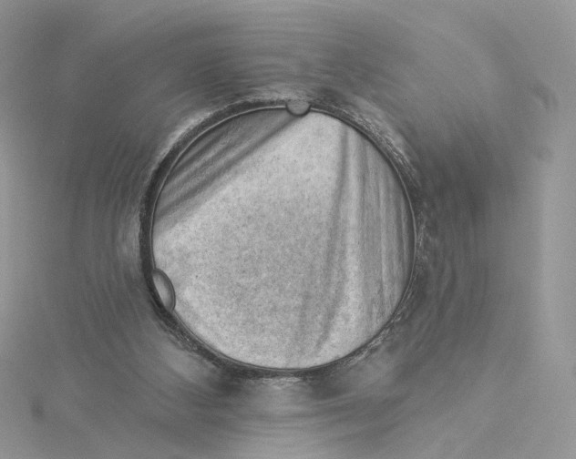 X0000114530108200911161344