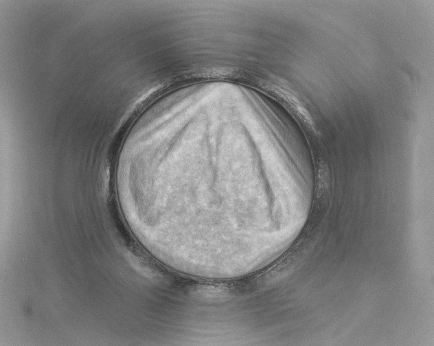 X0000114530110200911161344