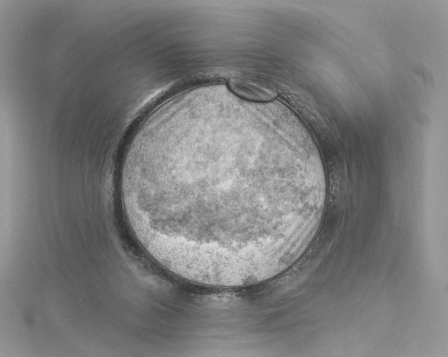 X0000114530112200911161344