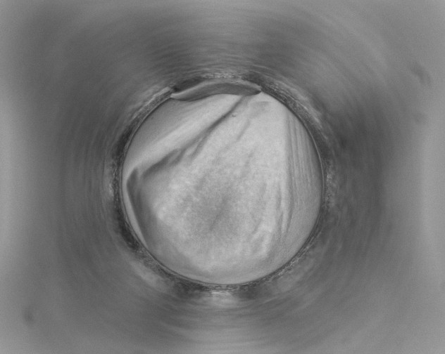 X0000114530114200911161344