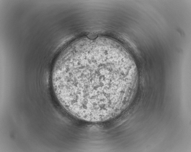 X0000114530115200911161344