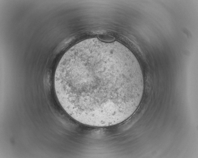 X0000114530116200911161344