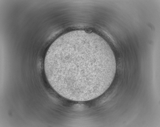 X0000114530119200911161344