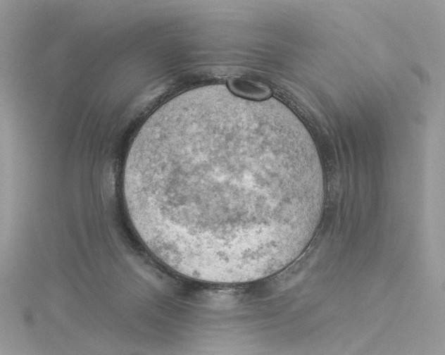 X0000114530120200911161344