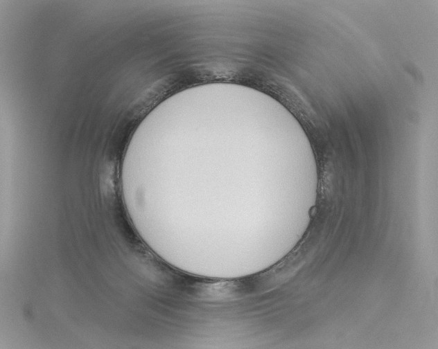 X0000114530122200911161344