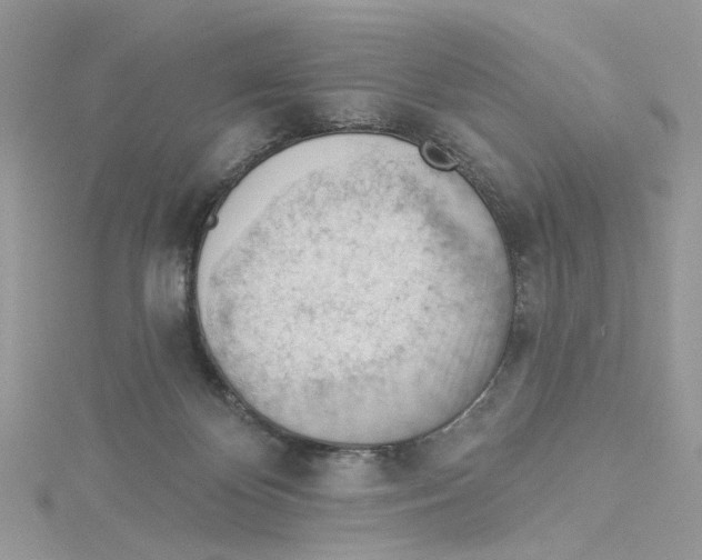 X0000114530124200911161344