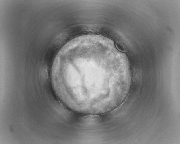 X0000114530128200911161344