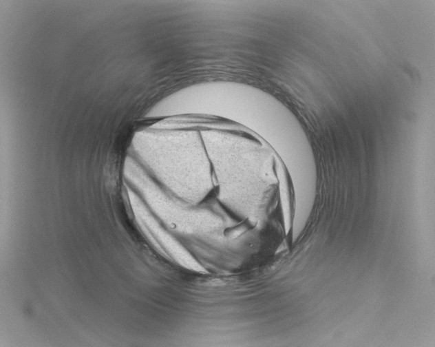 X0000114530129200911161344