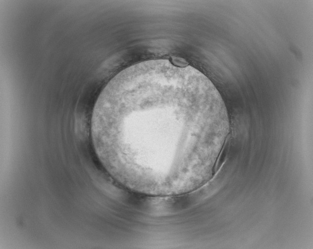 X0000114530136200911161344