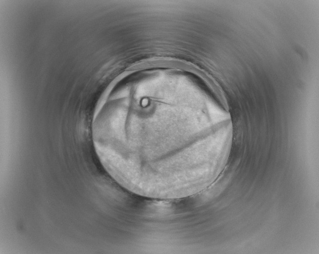 X0000114530140200911161344