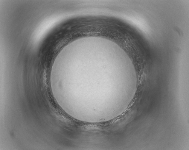 X0000114530146200911161343