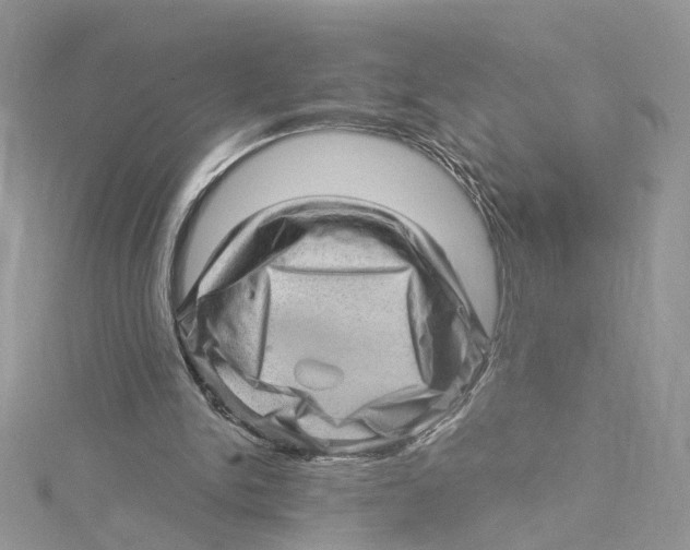 X0000114530150200911161343