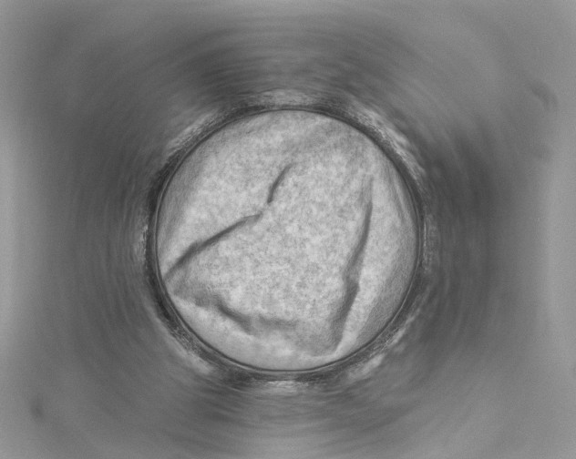 X0000114530153200911161343