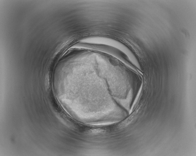 X0000114530158200911161343