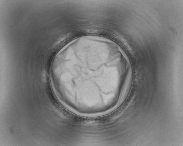 X0000114530161200911161343