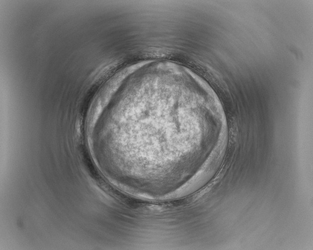 X0000114530166200911161344