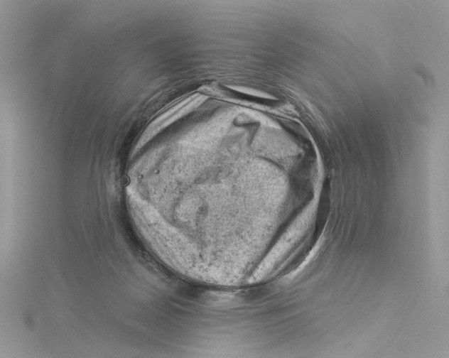 X0000114530170200911161344