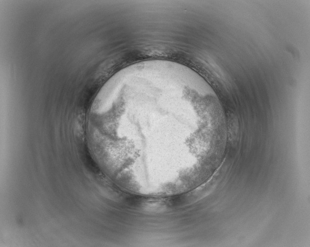 X0000114530175200911161344