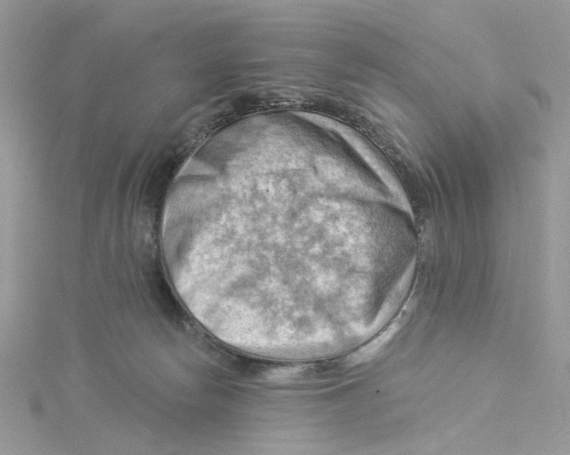 X0000114530178200911161344