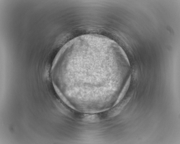 X0000114530185200911161344