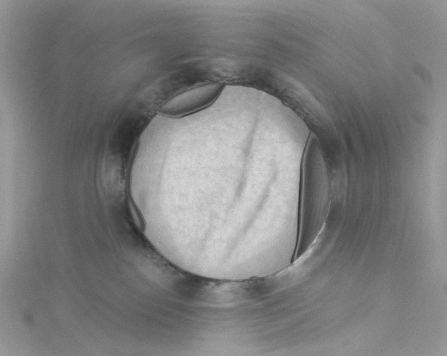 X0000114530186200911161344