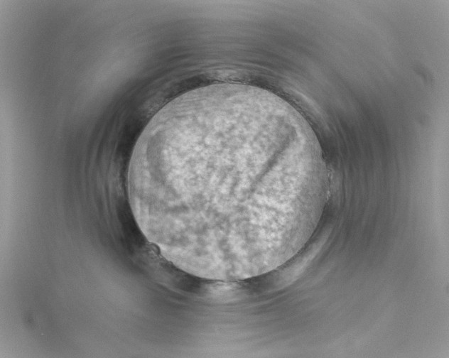 X0000114530189200911161344