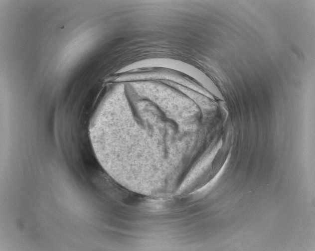 X0000114530190200911161344