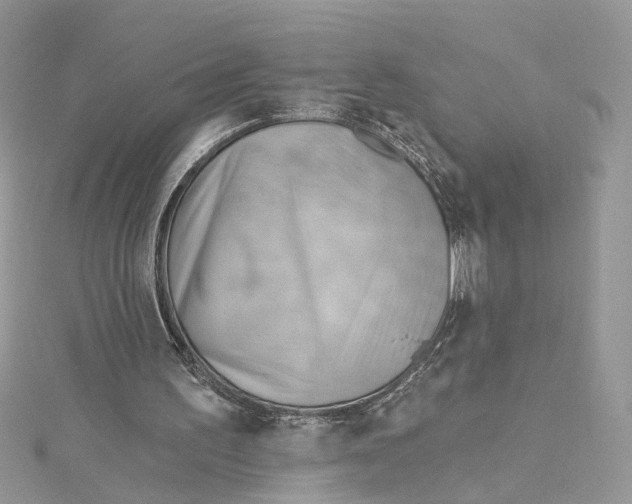 X0000114530195200911161343