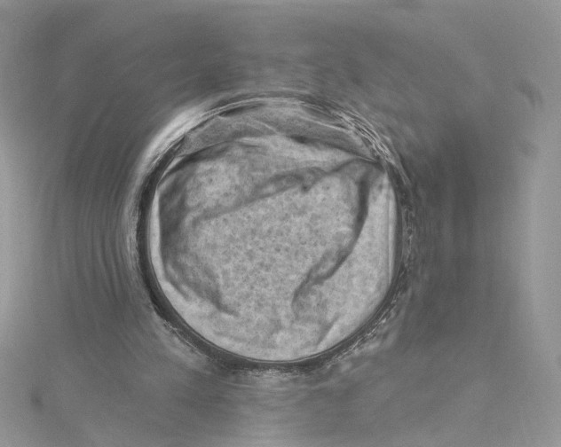 X0000114530197200911161343